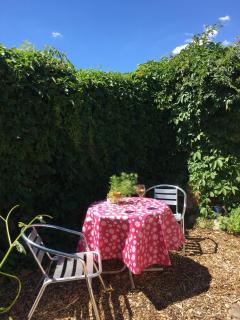 Löwenzahn Mit Holu - 9