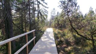 Fewo Am Skihang Og - 8