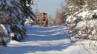 Fewo Am Skihang Og - 6