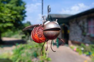 Appartement In Süd - 3