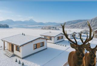 Rezort Zvernica Vlachy - Family & Fun - 0