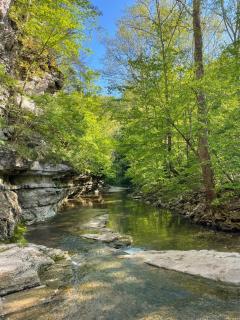 The Lodge at Marble Creek - 1