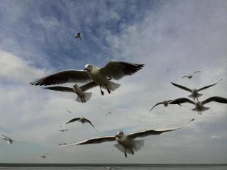 Sonniges Ferienhaus Hinter Dem Deich - 2