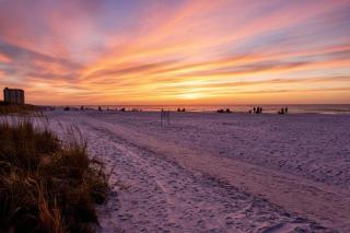 Jamaica Royale - 49 - 9