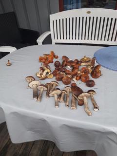 Ferienhaus In Granzow Mit Terrasse - 9