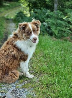 Bio Hof Brudersrüti - 1