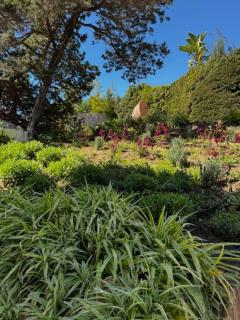 Marbella Bliss - Serenity 4-Bedroom VILLA with Exclisive HEATED Private POOL & Jacuzzi, Tropical Garden, Marbesa - Steps from the Cabopino Beach - 1