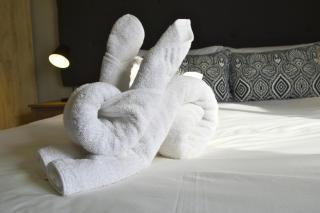 Harmonie - Hartenbos - 7