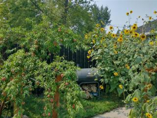 Liberty Park mini-studio - 1