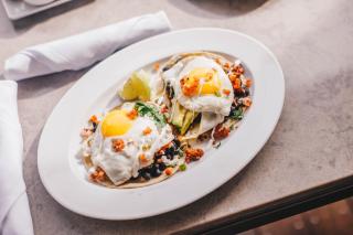 Margaritaville Beach House Key West - 3