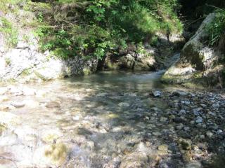 Geräumiges Ferienhaus Inmitten Der Natur - 5