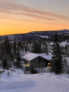 Brand new cabin on the sunny side of Gaustatoppen with a beautiful view - 3