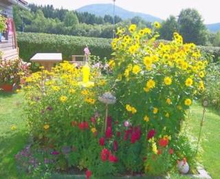 Appartement Mit Terrasse, Garten Und Grill - 2