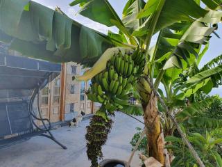 Loft Rural - Caserio De La Hondura - 7