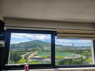 Koševo stadium view - 7