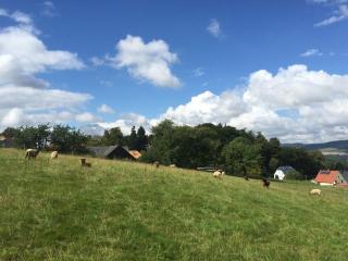 Helle Und Moderne Ferienwohnung Mit Terrasse - 4
