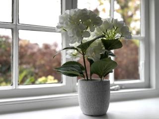 Central Bury St Edmunds Home with Hot Tub - 4