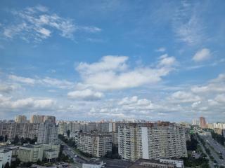 Panoramic view Lebedinny flat - 1