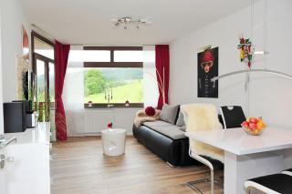 Tolles Appartement Mit Pool In Schluchsee - 4