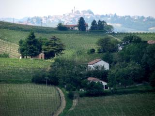 Villa Colline Monferrato - 1