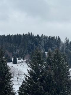 Surki's Loggia an der Sonne - 2