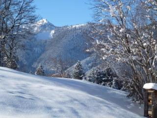 Gemütliche Ferienwohnung In Unterammergau - 1
