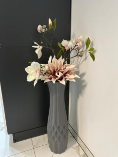 Apartment SaGo 2 - Clausthal-Zellerfeld - 4