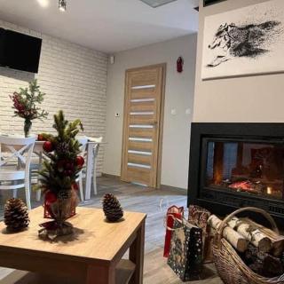 BIESZCZADZKI RAJ Komfortowe domy z kominkami i Sauną na obiekcie - 1