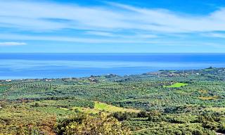 Ferienhaus Für 12 Personen In Kastellos, Kreta West Kreta - 5