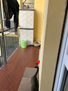 La Dimora di Gigia - 5