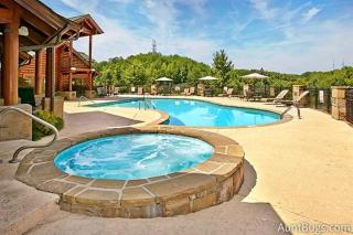 Lucky Logs #283 - Pigeon Forge - 7