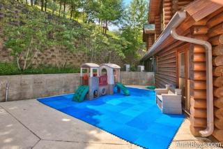 Lucky Logs #283 - Pigeon Forge - 6