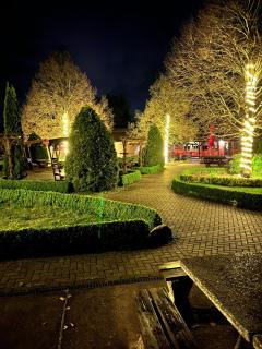 Terassenblick am See - 0