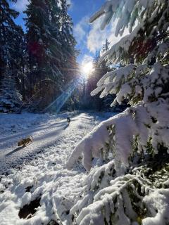 Ferienhaus Robin - 3