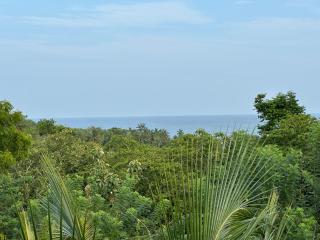 Verdant Hill Villa - 7