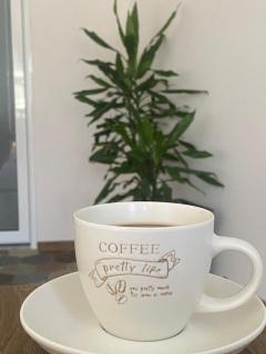 Staša Apartmani - 2