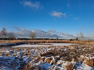 La Maison des Senteurs - 0