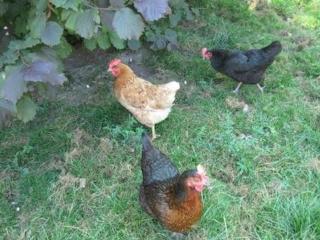 Farbhaus Bleiche - 2