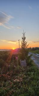 Hytteparadis ved Neidenelva - 1