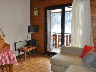 Appartement 2 Pièces Près des Remontées Mécaniques avec Parking Couvert - FR-1-692-8 - 3