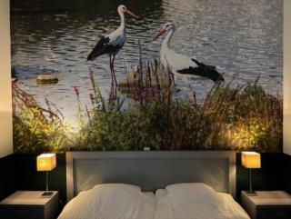 In de Kathoek - Boutique Apartments & Breakfast - 3