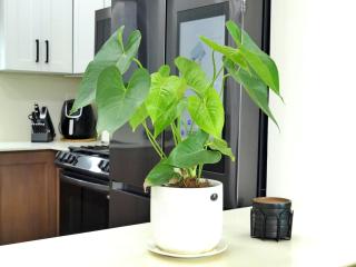 Elegante y Amplio - 1