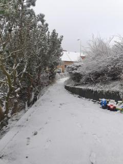 Cozy apt in 50s villa 10 min tram ride to city - 6