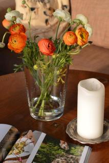 Ferienhaus In Weenzen Mit Großem Garten - 2