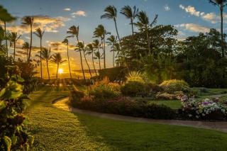 NEW LISTING Waiohuli Beach Hale D-114 Oceanfront Complex with Garden View, Steps to Beach - 0
