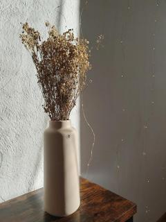 Balcons du Cambre Fontseca, cozy cottage 100 m2 - 2