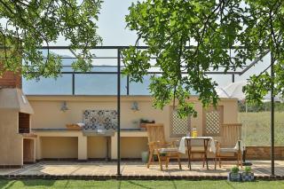 Οlives and Vines all seasons villa - 1