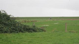Großes Ferienhaus In Müggendorf Mit Garten - 8