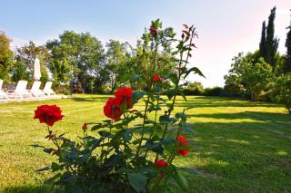 Ferienhaus Mit Privatpool Für 6 Personen Ca 165 M Sup2 In Kosinozici, Istrien Porec Und Umgebung - 4