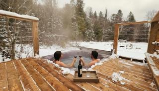 Cozy Cottage Retreat Private 2 Acres, Hot Tub - 8